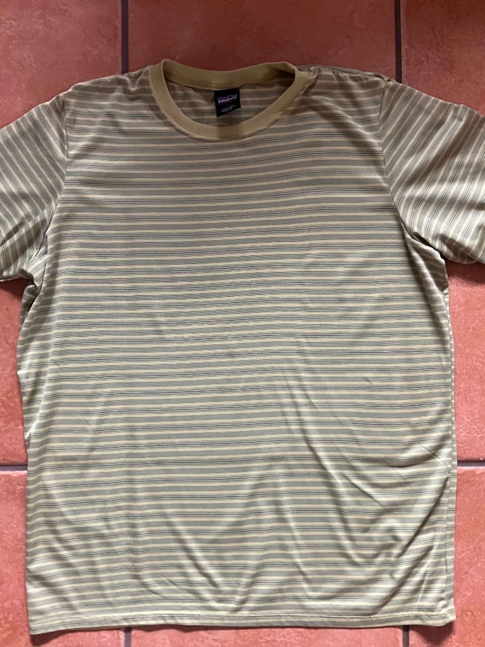 Men’s Patagonia Capilene Striped Tee | Green | Size L | Made in USA